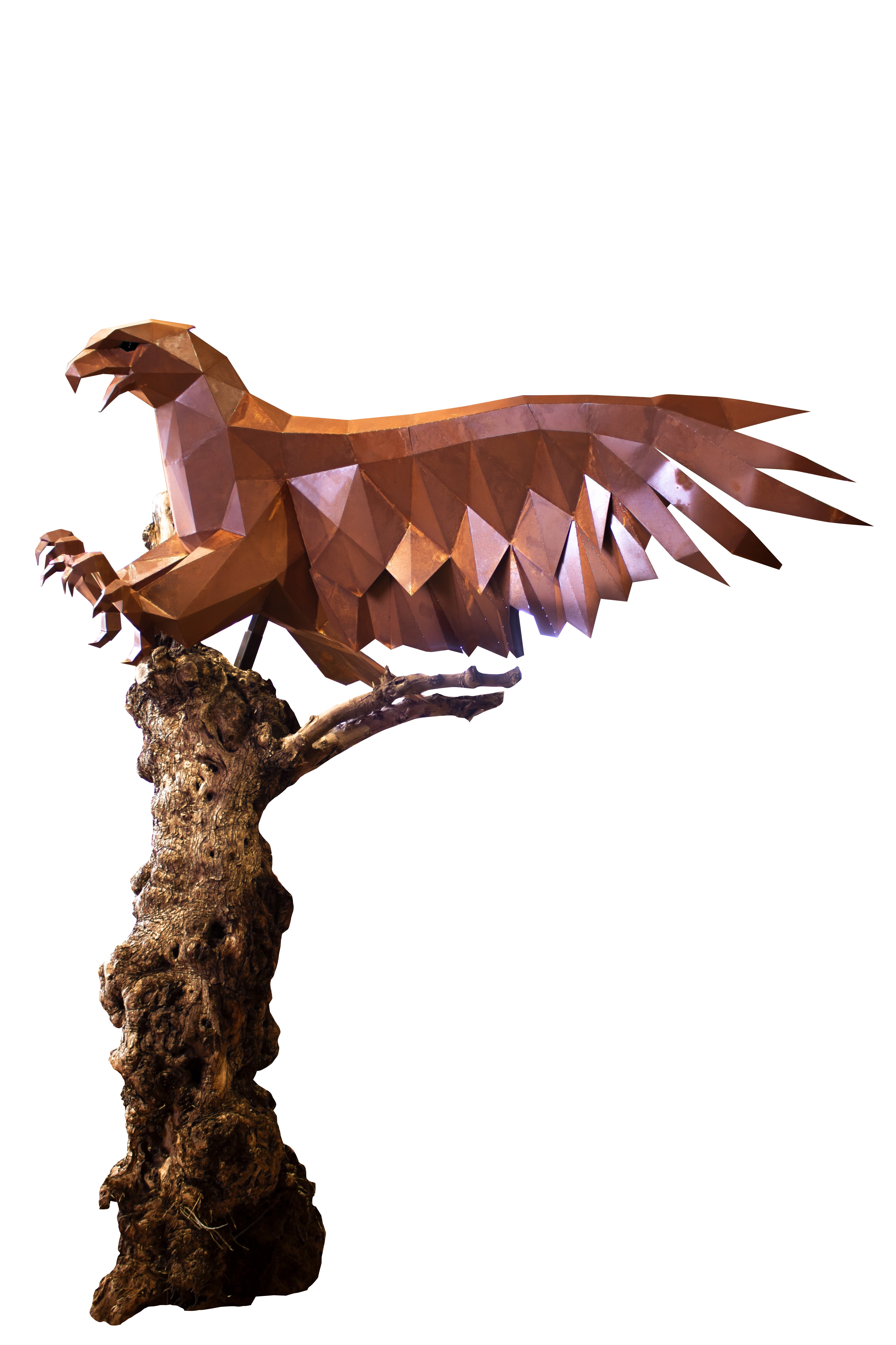 Adler - König der Lüfte