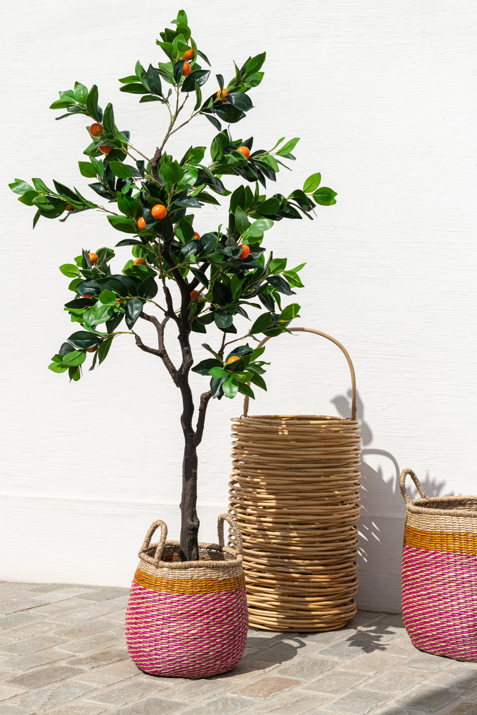 Dekorationspflanze Baum Kumquats Im Topf Plastik Grün/Orange Large