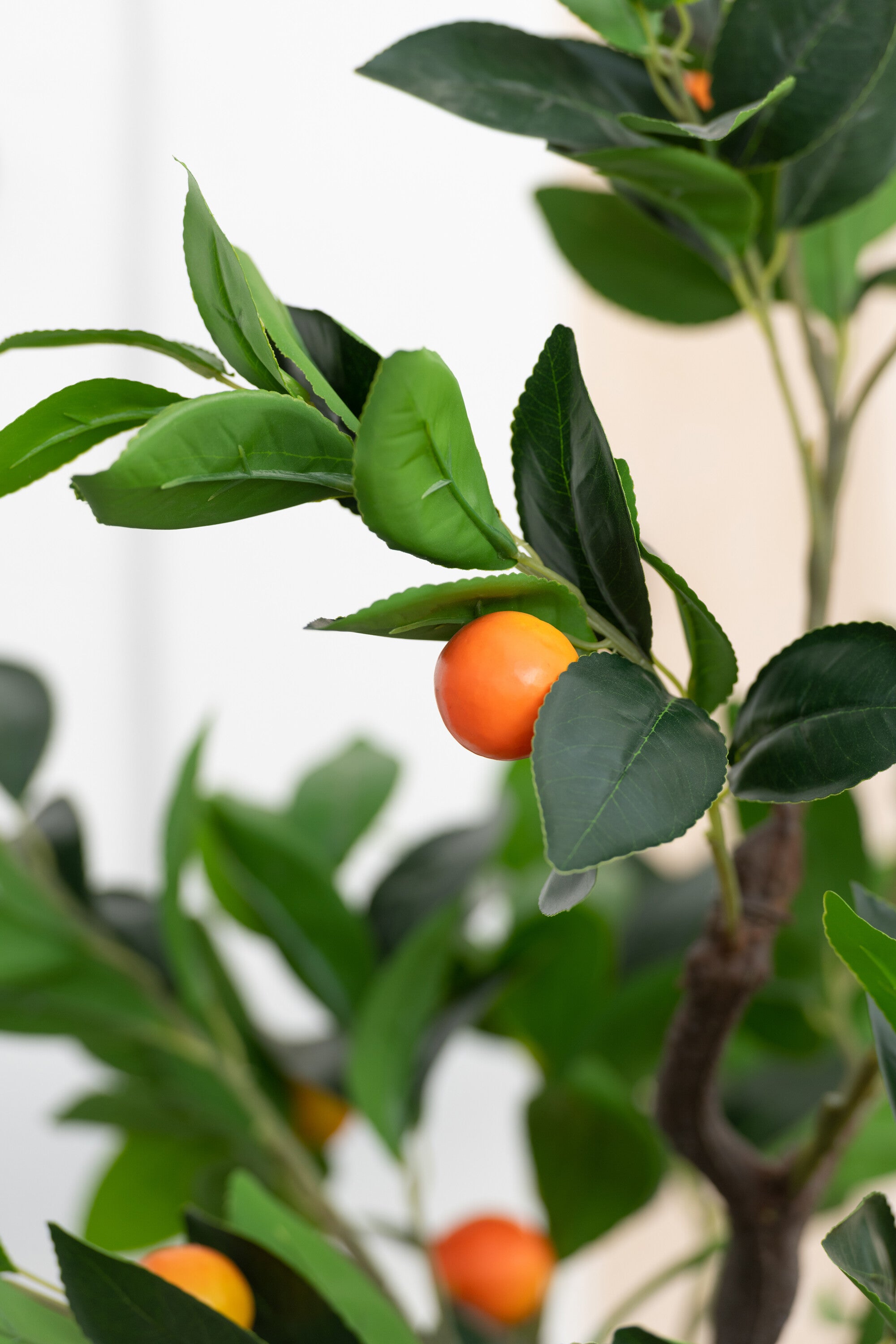 Dekorationspflanze Baum Kumquats Im Topf Plastik Grün/Orange Large