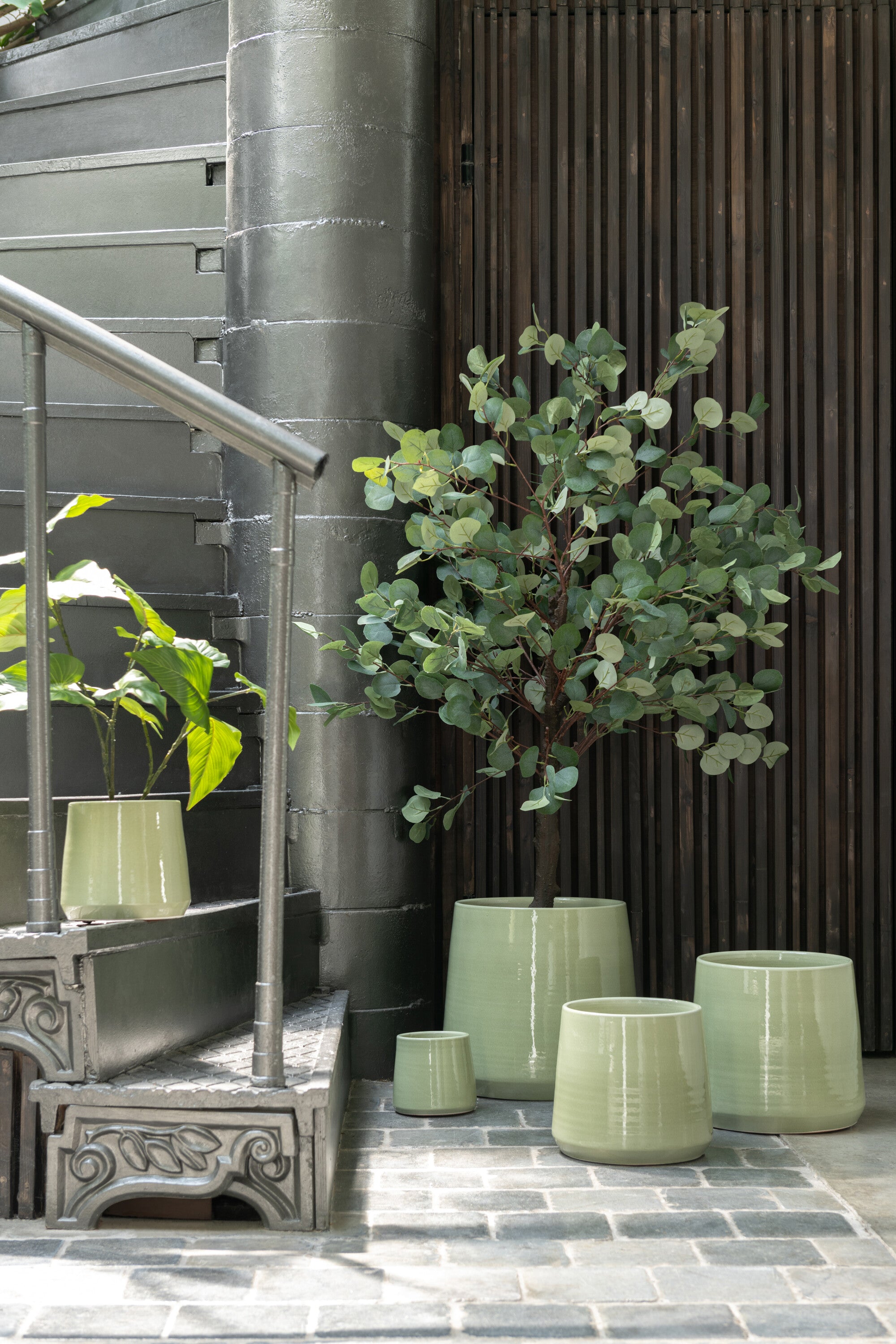Dekorationspflanze Geldbaum Im Topf Kunststoff Grün