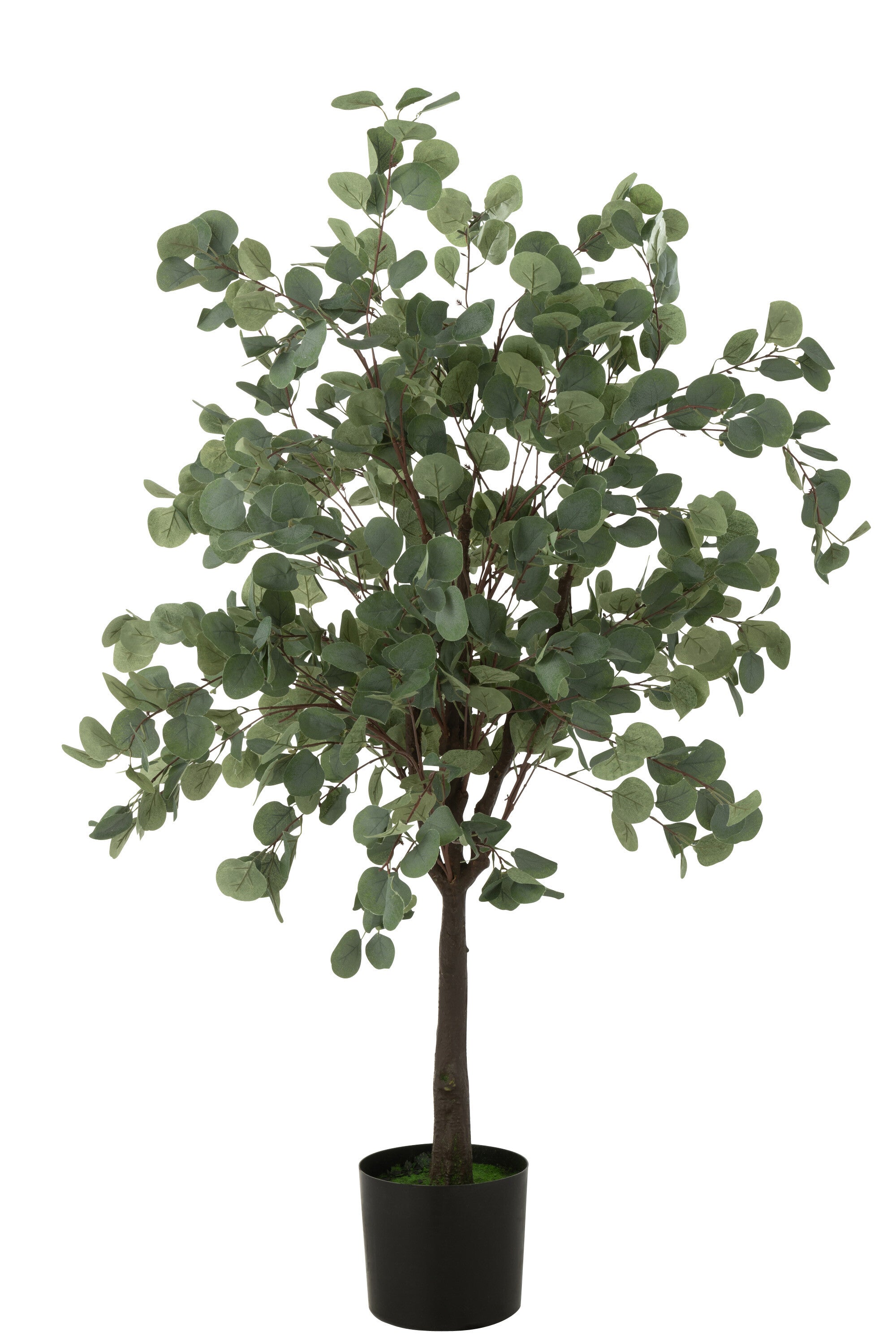 Dekorationspflanze Geldbaum Im Topf Kunststoff Grün