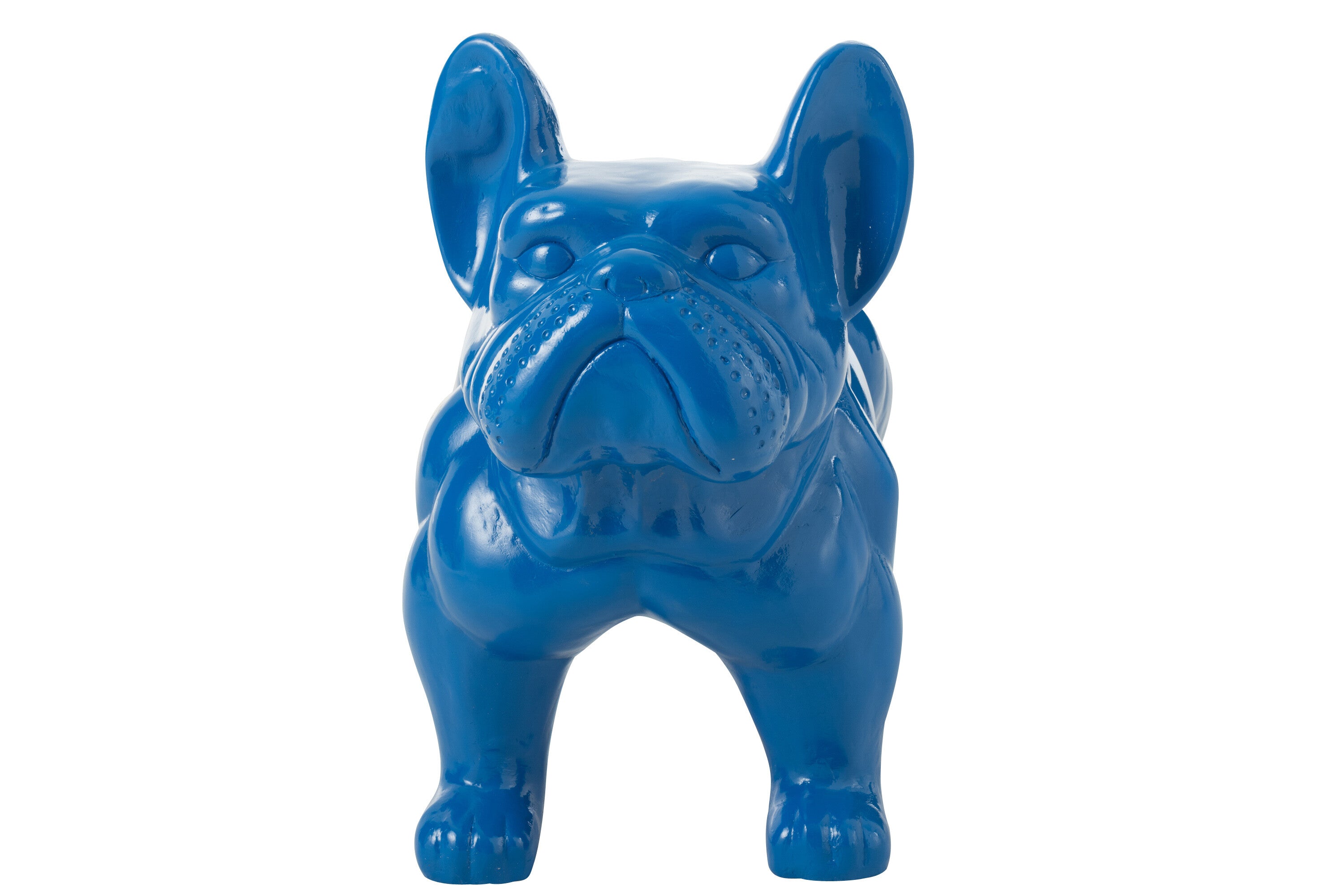 Bulldog Mgo Blau