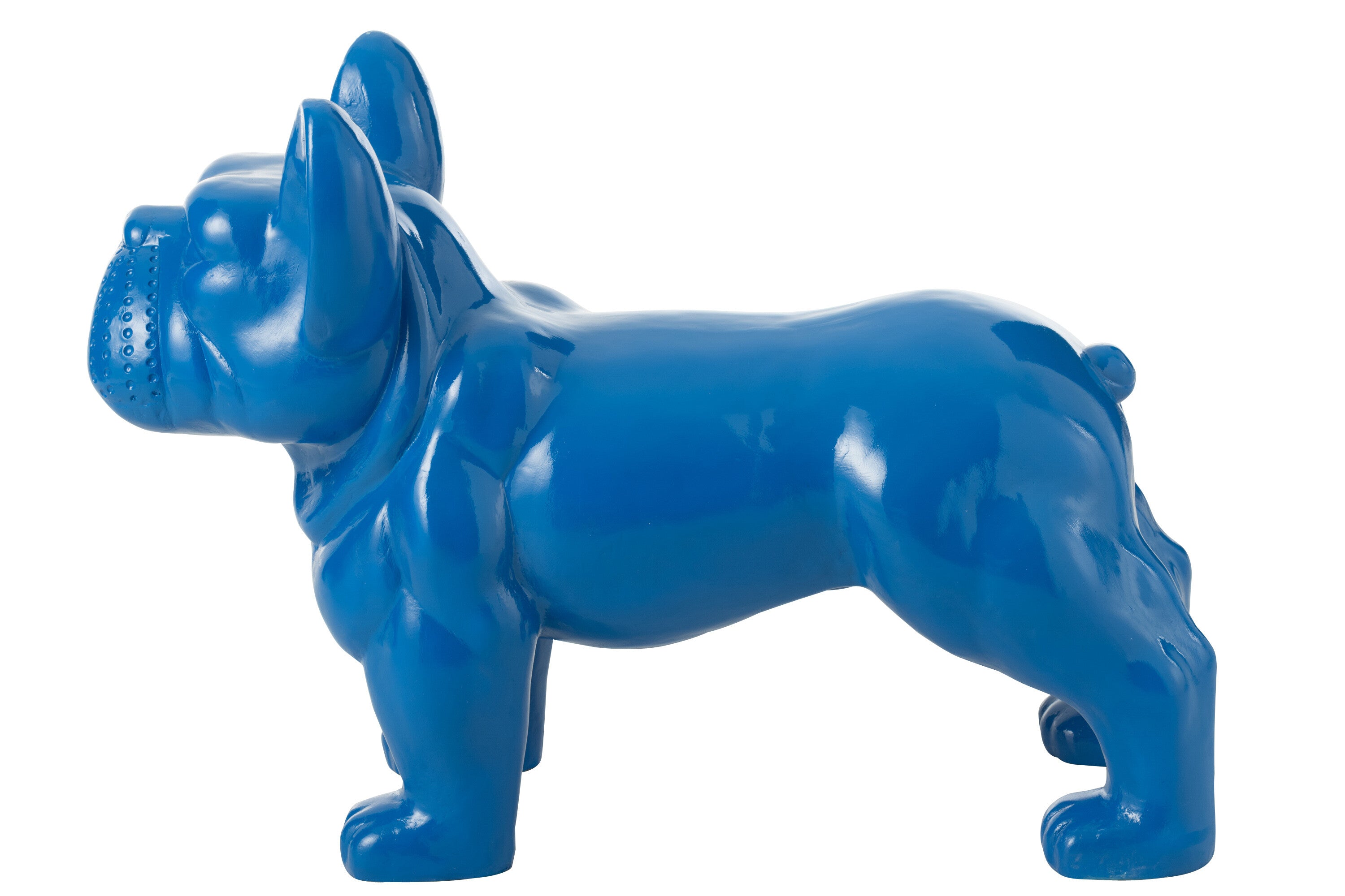 Bulldog Mgo Blau