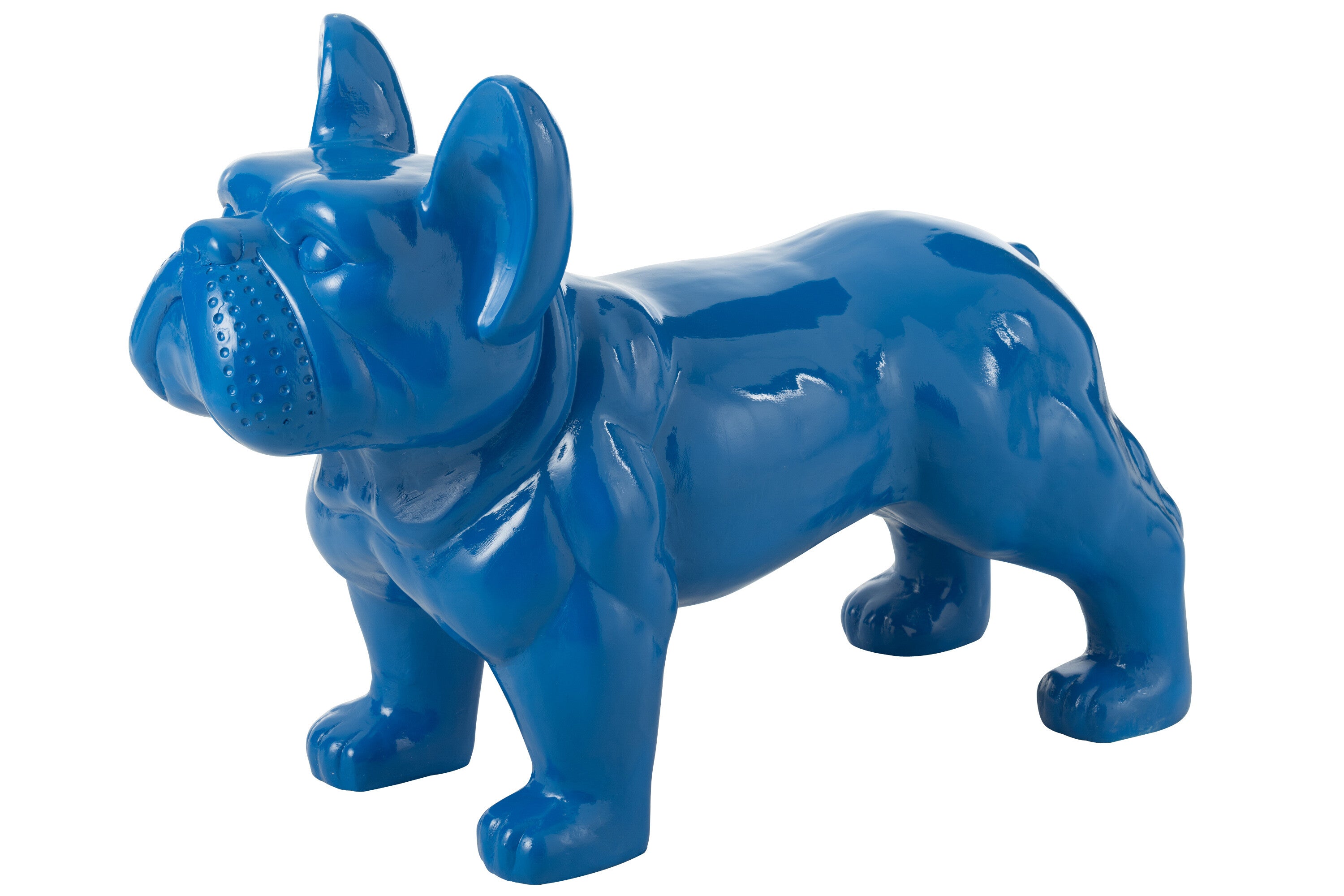 Bulldog Mgo Blau