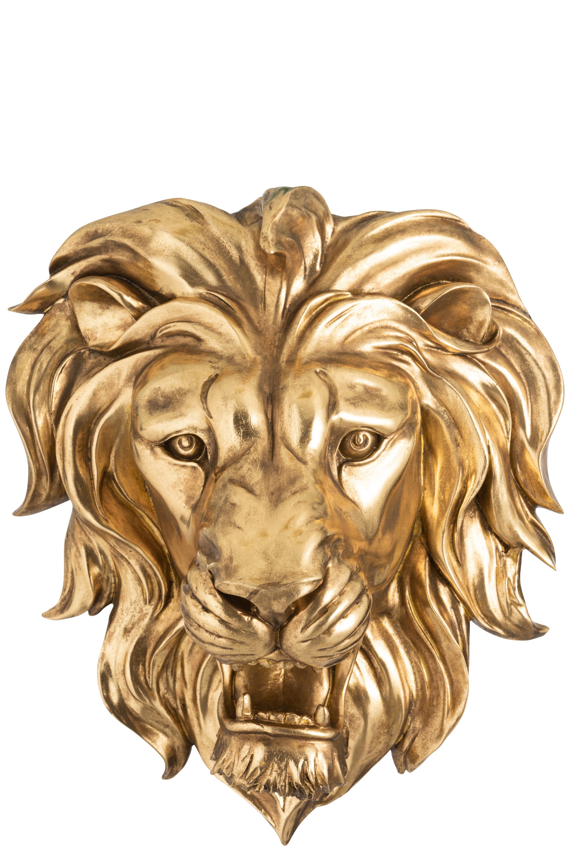 Goldener Löwenkopf mit aufgerissenem Maul als Wanddekoration.