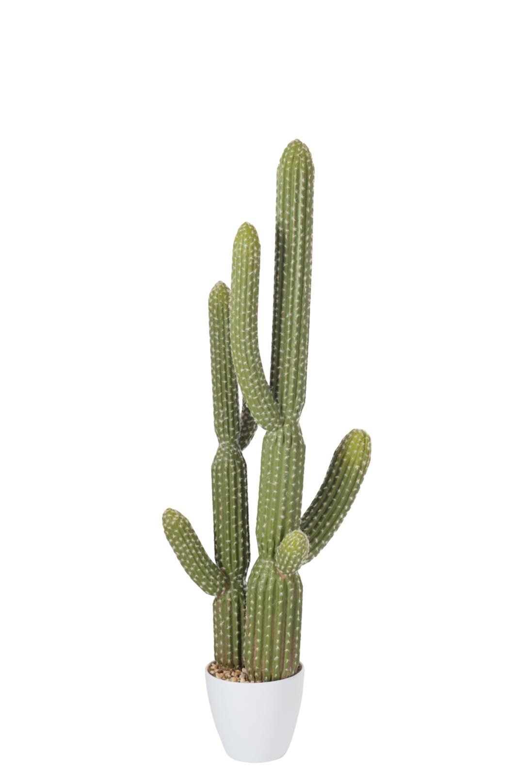 Deko Kaktus